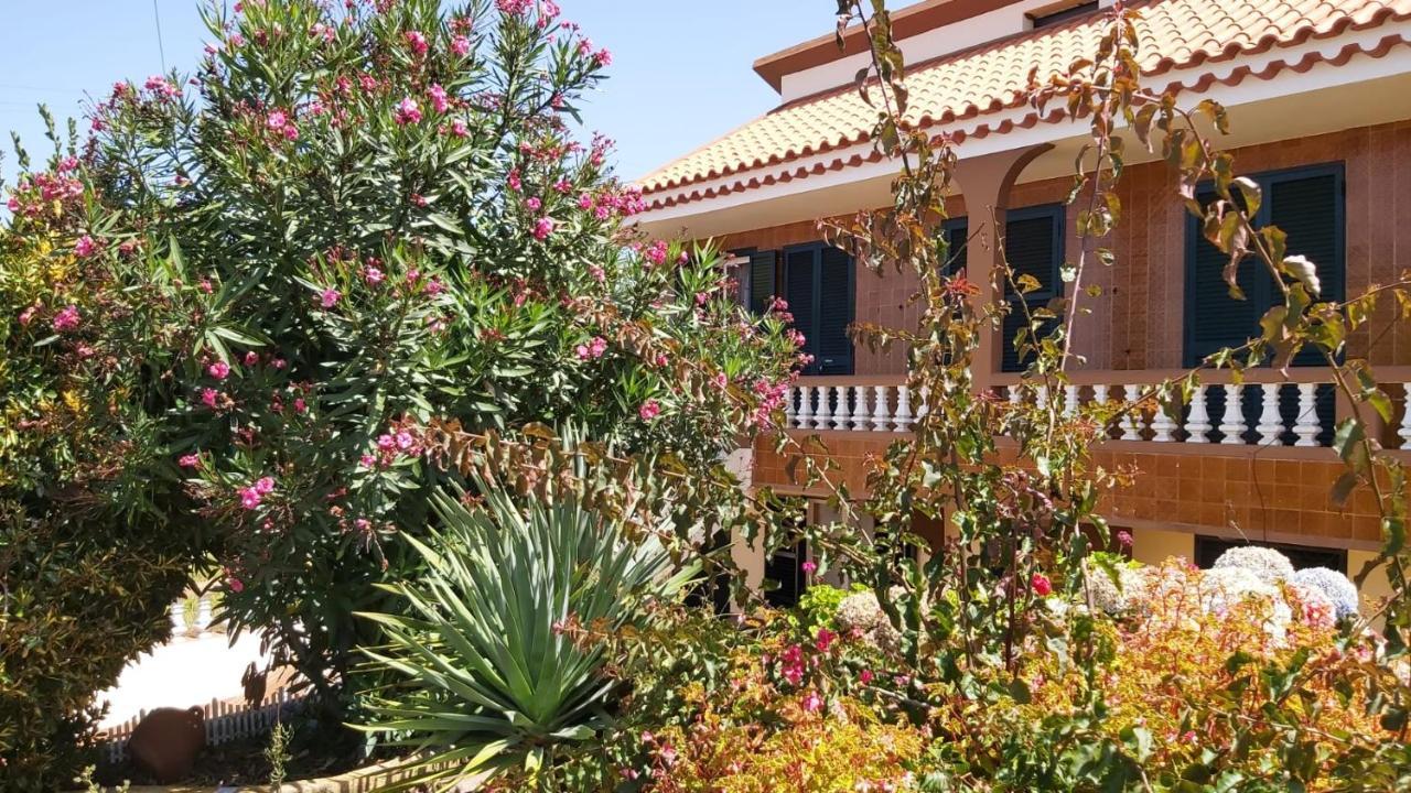 Casa de hóspedes Casa Ribeirinho No Coração Da Natureza