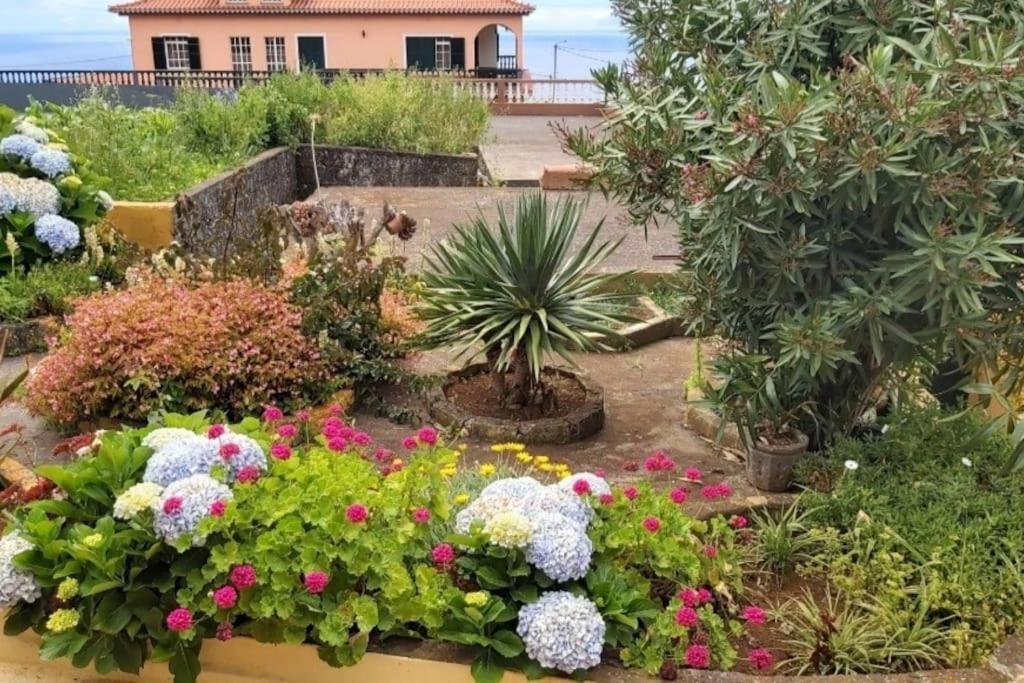 Casa Ribeirinho No Coração Da Natureza Casa de hóspedes *